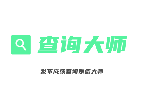 查询大师工资查询系统logo图